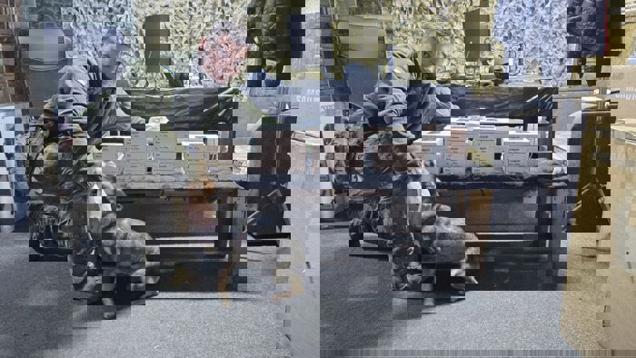 банка
